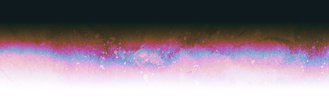 chiba's banner