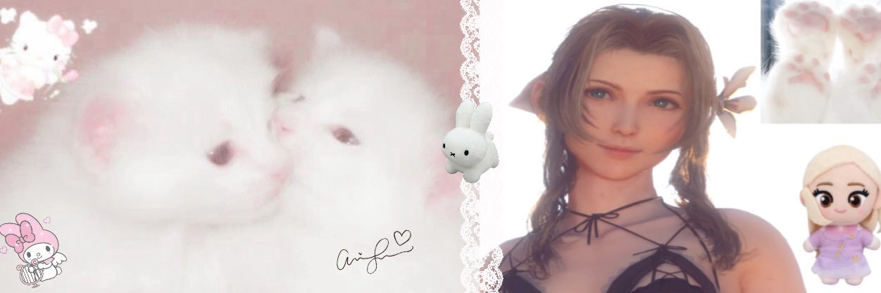 mye's banner