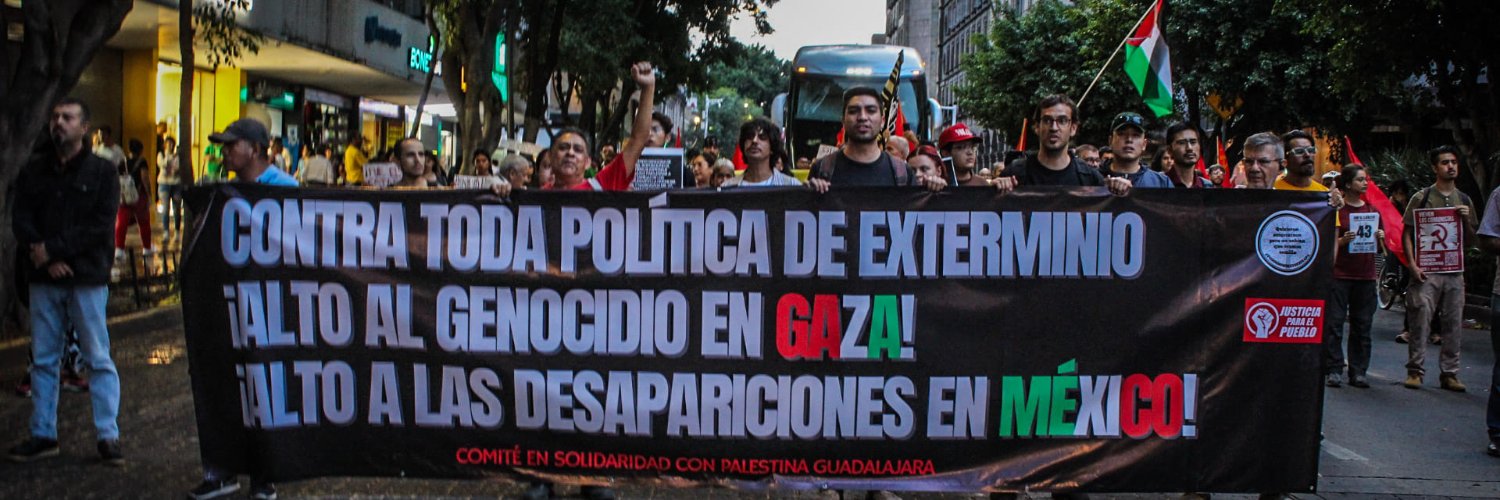 Comité de solidaridad con 🇵🇸's banner