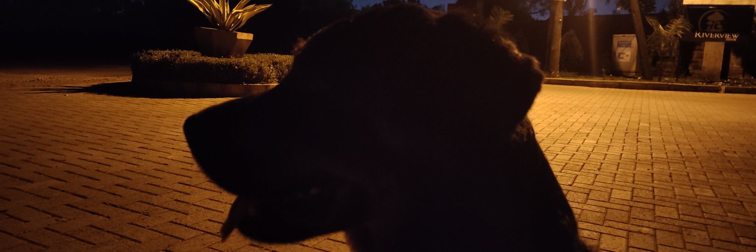 Thanos's banner