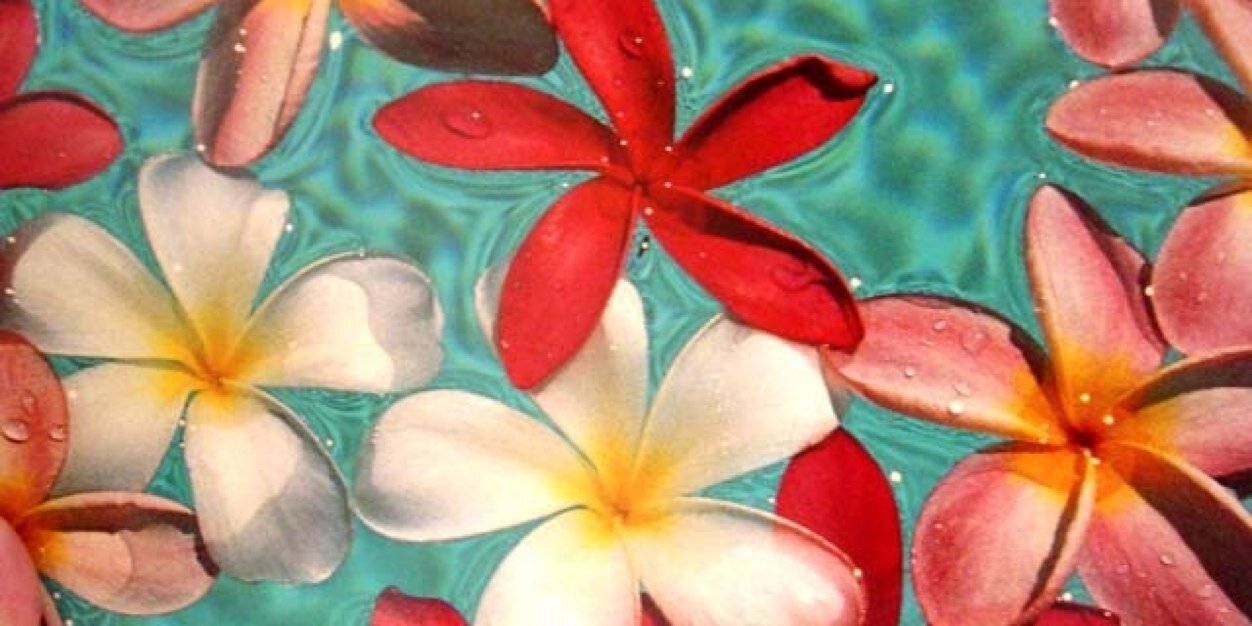Mahalo's banner