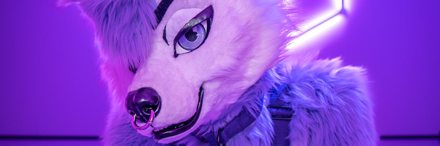 Purple Pawsky's banner