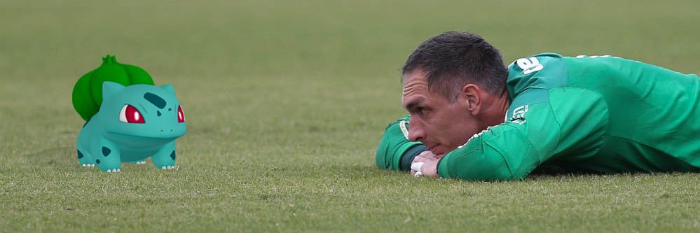 palmeiras sem sentido's banner