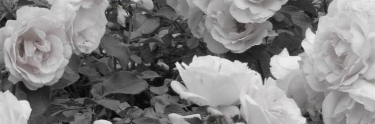 매일's banner