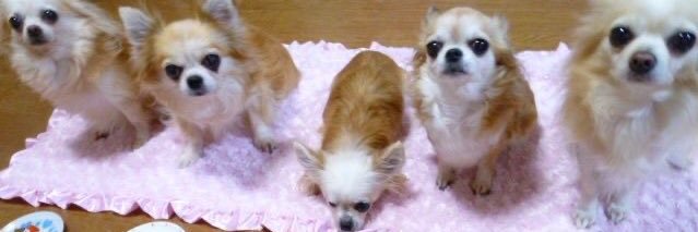 콩지𝄞's banner