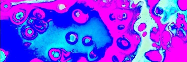 ⋆ fleur ⊬ plasmapilled ⋆'s banner