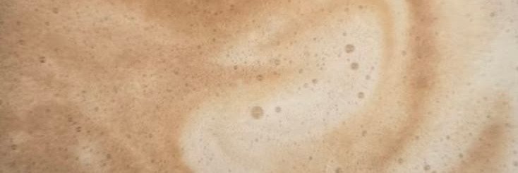⋆ fleur ⊬ katsukipilled!! ⋆'s banner
