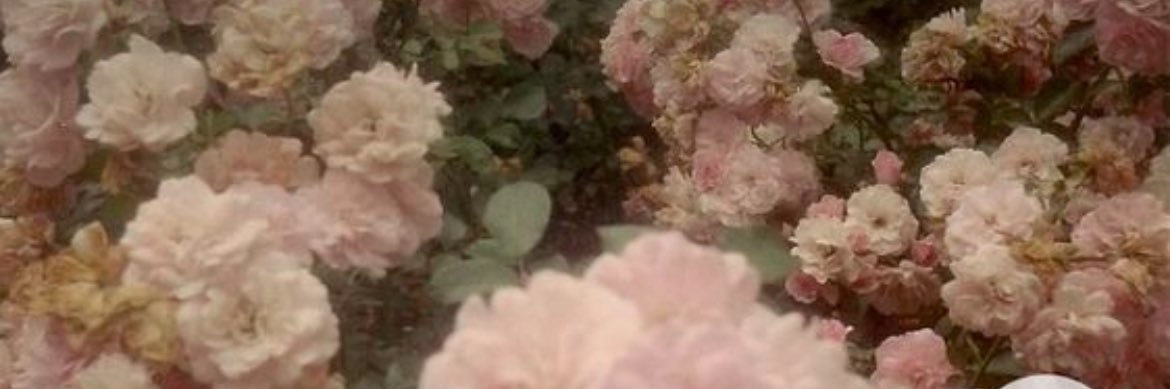 em ☁️'s banner