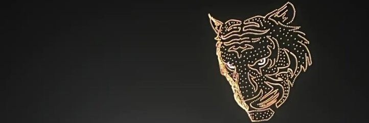 Doon alyamani's banner