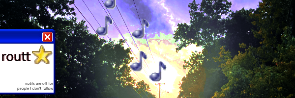 Routt's banner