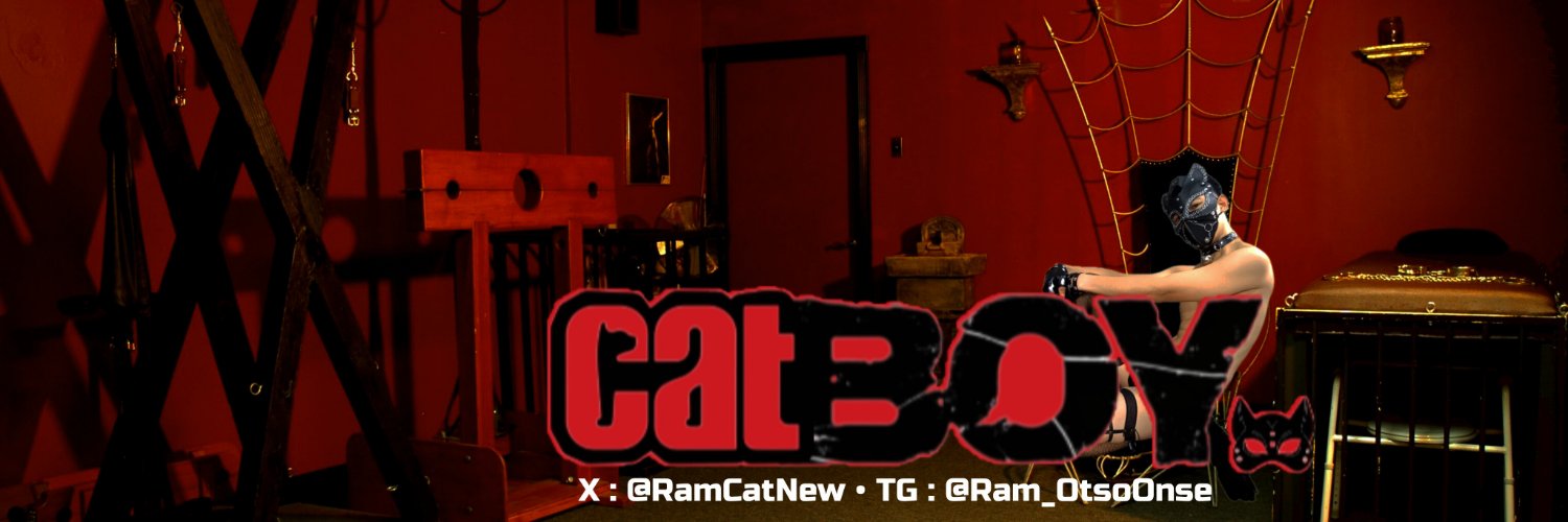 CATBOY🐈‍⬛'s banner