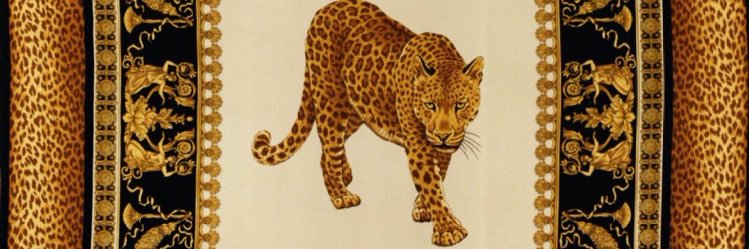 🐯🤍's banner