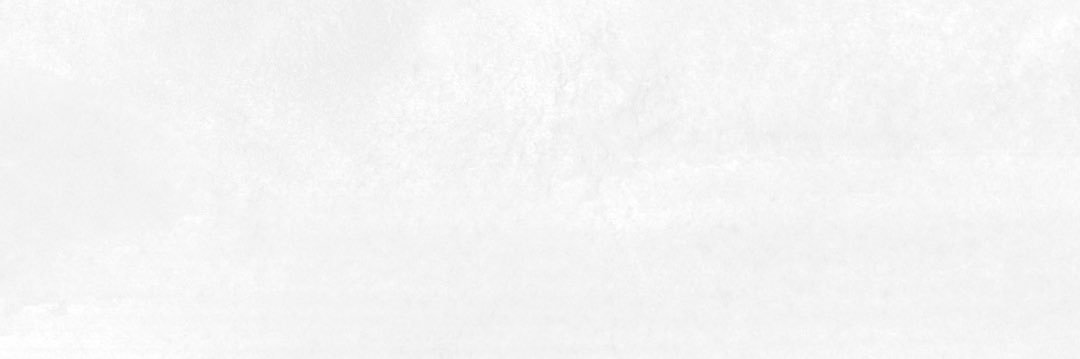 しろさき｜始祖's banner