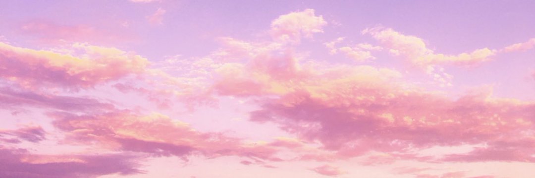 Ni Bé's banner