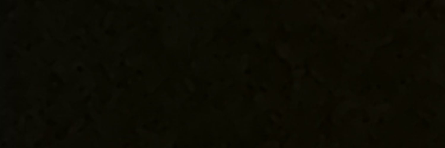 villy's banner