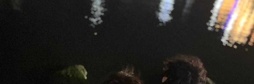 Crz (Chair, stop shaking.)🌸's banner