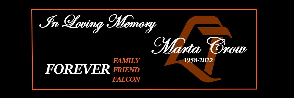 BGSU Hockey Fans's banner