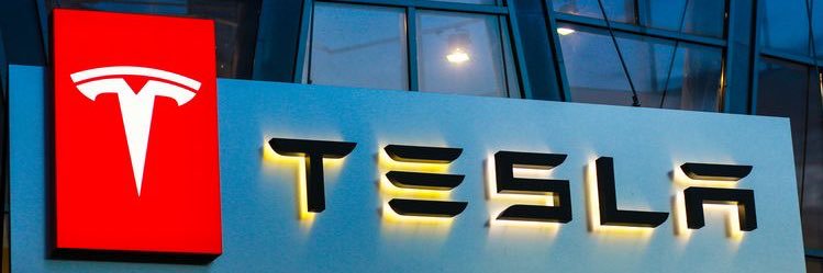 E Musk's banner
