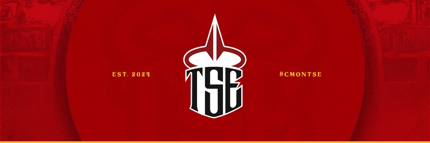 TSE's banner
