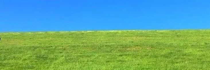 ✰ 𝚢𝚘𝚘𝚗𝚒𝚎 ✰'s banner
