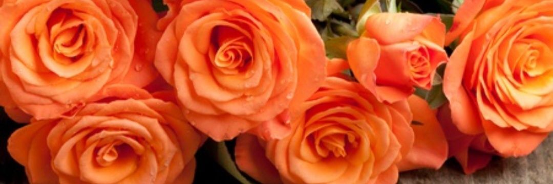 Naranja 🤿🌊's banner