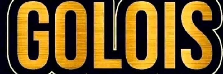 TWITTOS GOLOIS ⚔️🛡🇨🇩's banner