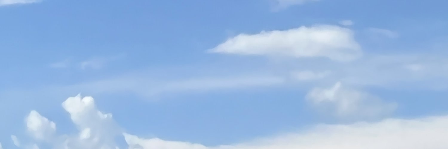 lyly🤍's banner