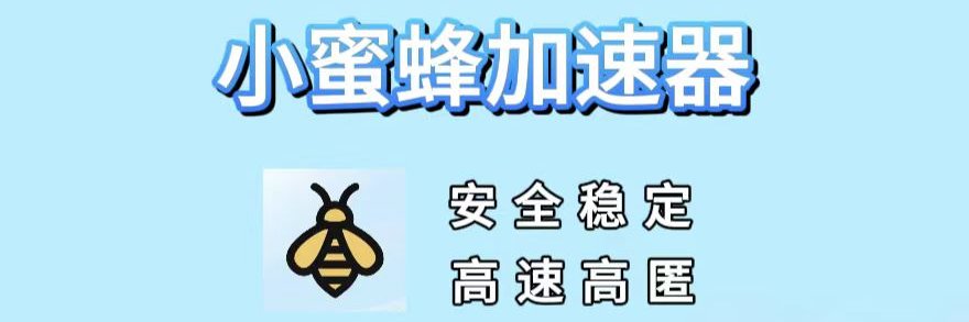 小蜜蜂加速器's banner