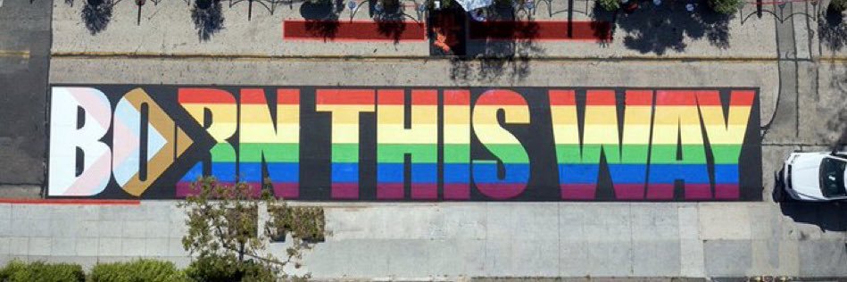 camile's banner