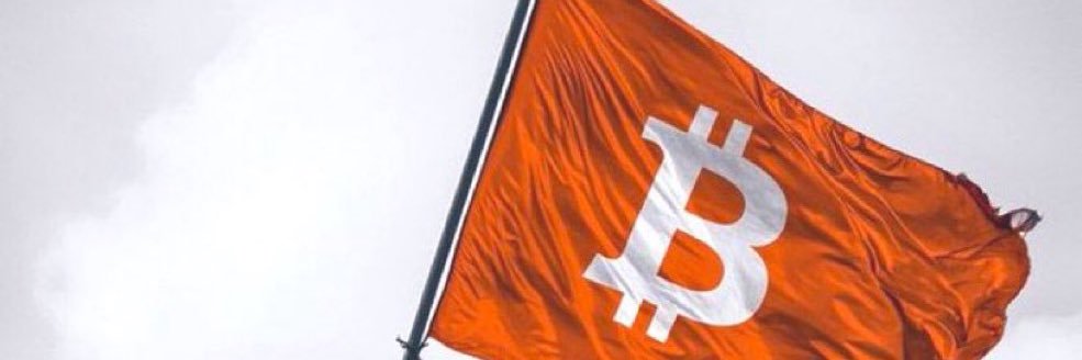 parachutesBTC's banner