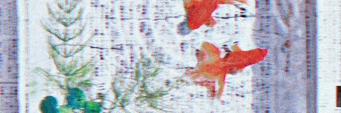 산큐's banner