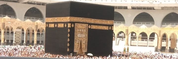 Wajiha Zainab's banner