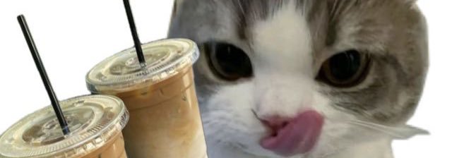 J O L O's banner