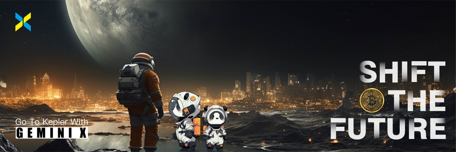 Gemini-X's banner