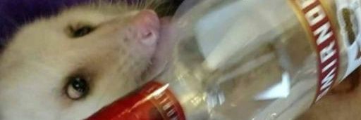 Reese_Reeves's banner