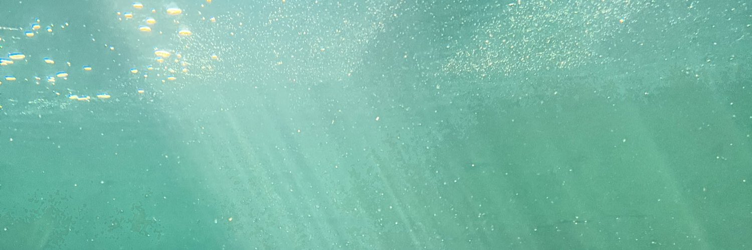 DuDu（DOM)'s banner