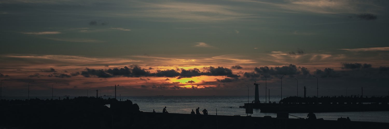 流浪貓's banner