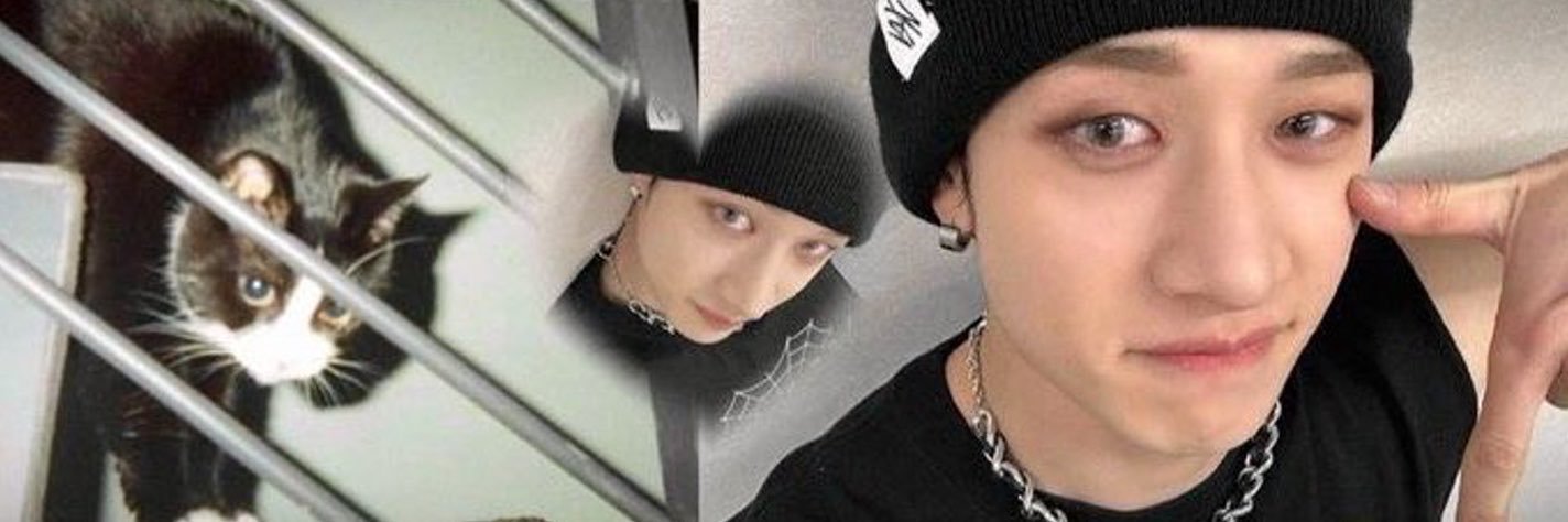 adri.🐈‍⬛ estrela do hyunjin's banner