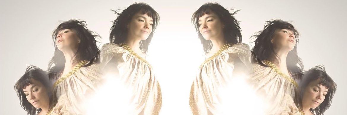 ˚˖𓍢ִ໋🦢˚'s banner