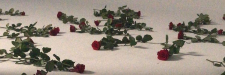 𝐌𝐚𝐫𝐭𝐢𝐧 .𝐖's banner