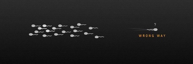 Dude 4.0™'s banner