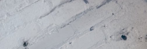 lu's banner