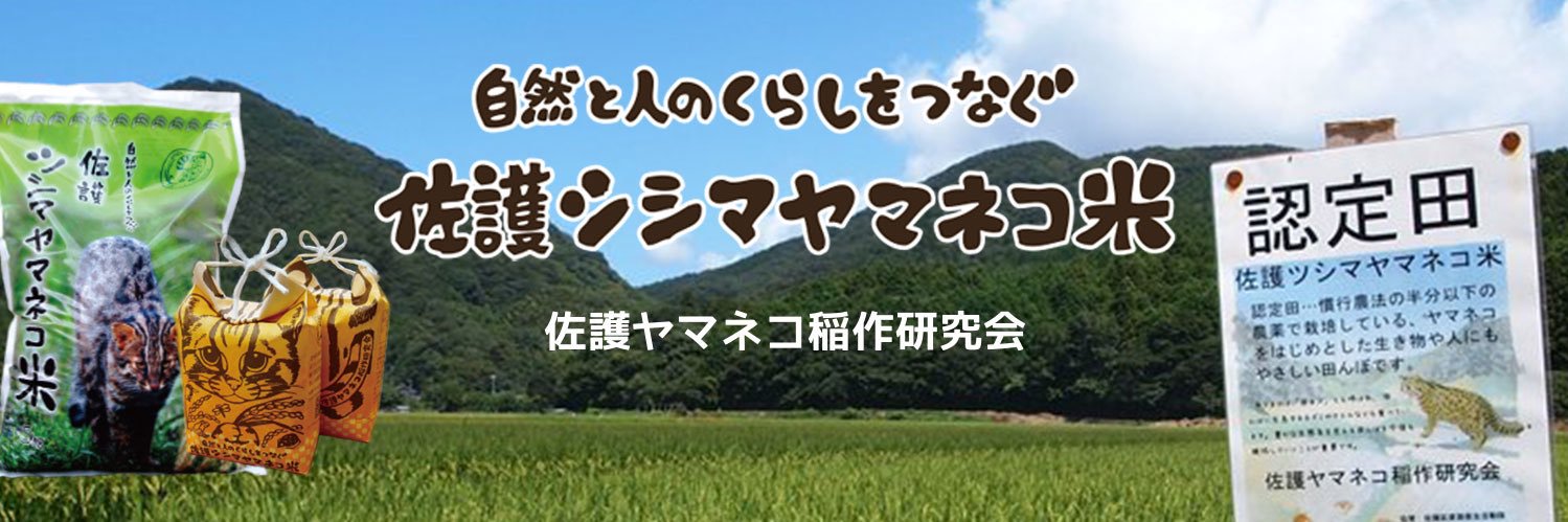 佐護ヤマネコ稲作研究会（公式）'s banner