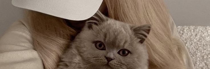 It'szooq's banner