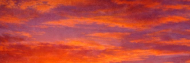 Saul Nudeman's banner