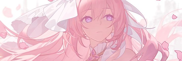 Leo's banner