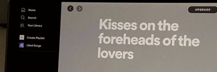 맠프리카's banner