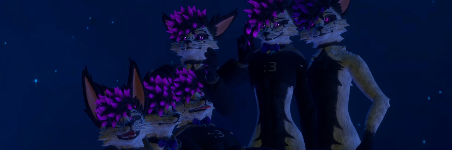 Hoshi's banner
