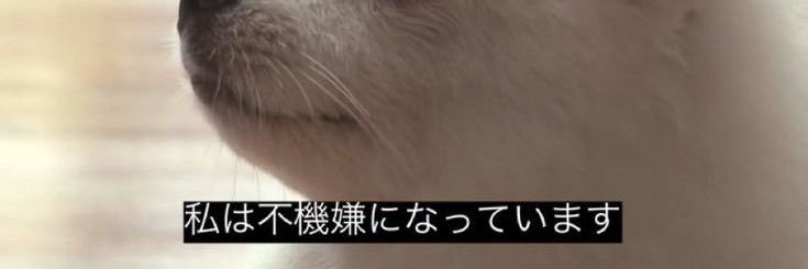 ムア's banner