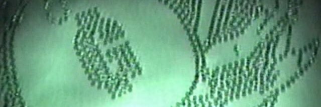 Goth Money Records®'s banner